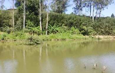 Imagem 4: Lote/Terreno para venda com 175 metros quadrados em Parque Novo Mundo...