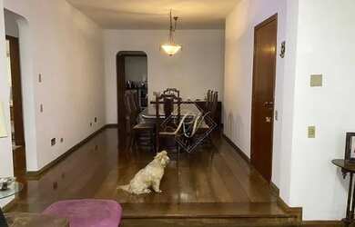 Imagem 7: Belíssimo Apartamento ,sacada na sala mobiliável, frente com vista livre, em excelente loc