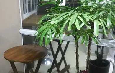 Imagem 15: em Residencial Greenville - Ribeirão Preto