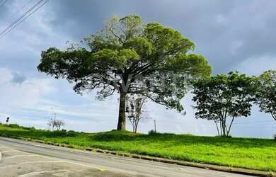 Imagem 8: Terreno Em Condomínio em Condomínio Portal Do Jequitibá, Valinhos, SP