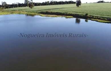 Imagem 16: Sítio com 11 alqueires para agricultura Nogueira Imóveis Rurais