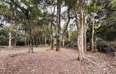 Imagem 14: Propriedade Rural com produção de Uvas e uma casa de Mista