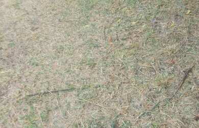 Imagem 13: Vende se casa. Na praia de itapiruba boa vista Imbituba SC