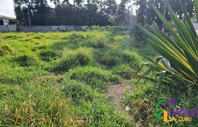 Imagem 2: TERRENO - VILA SANTISTA - SP