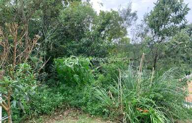 Imagem 6: TERRENO DE 703 M² DENTRO DO LOTEAMENTO TERRAS ALTA