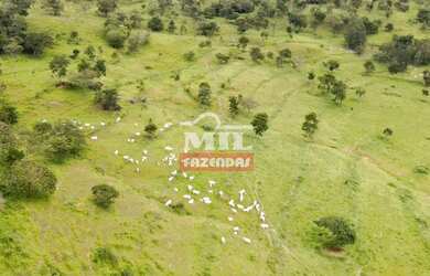 Imagem: A fazenda possui 500m² de Área e está localizado em Centro