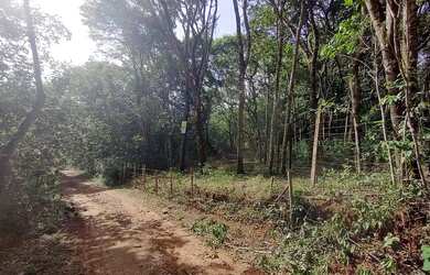 Imagem: O terreno possui 390m² de Área e está localizado em Mateus