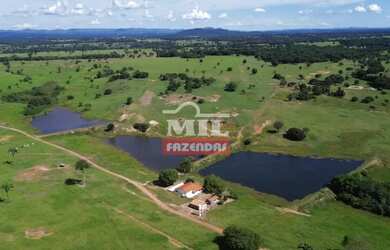Imagem 10: Fazenda 197 alqueires 953,48 hectares Novo Brasil - Go