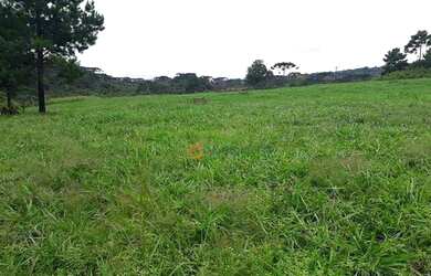Imagem 1: Fazenda à venda, 120 alqueires por R$ 4.200.000 - Guará - Guarapuava/PR
