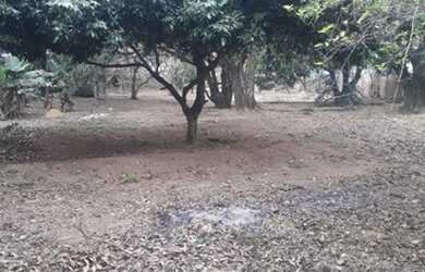 Imagem 3: Terreno à venda, 2180 m² por R$ 980.000 - Parque Rural Fazenda Santa...