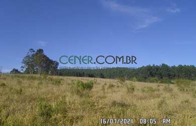 Imagem 16: EXTRAORDIONÁRIO TERRENO DE 35,6 HA PARA LAVOURA EM CARANDAI/MG