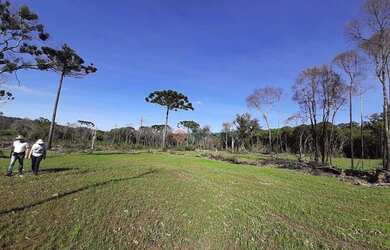 Imagem 3: Fazenda à venda, 120 alqueires por R$ 4.200.000 - Guará - Guarapuava/PR
