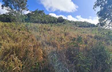 Imagem 10: Oportunidade fazenda de 85 hectares por apenas 370 mil