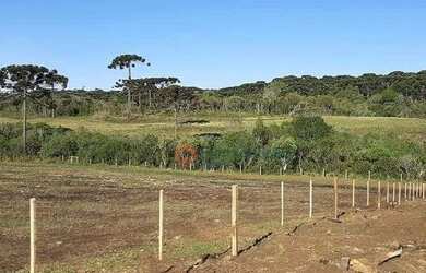 Imagem 10: Fazenda à venda, 120 alqueires por R$ 4.200.000 - Guará - Guarapuava/PR
