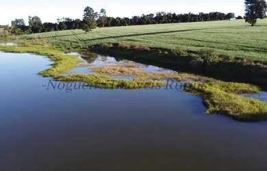 Imagem 14: Sítio com 11 alqueires para agricultura Nogueira Imóveis Rurais