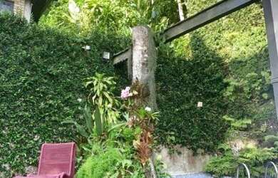 Imagem: Linda Casa com 444m2 de 3 suites ao pé da pedra da gávea