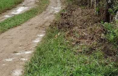 Imagem: A fazenda possui 42.000m² de Área e está localizado em Nazaré
