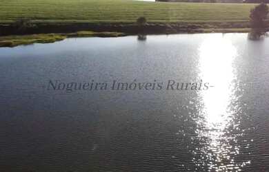 Imagem 10: Sítio com 11 alqueires para agricultura Nogueira Imóveis Rurais