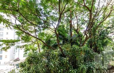 Imagem 9: Apartamento com 3 Dormitórios 1 Vaga em Higienópolis