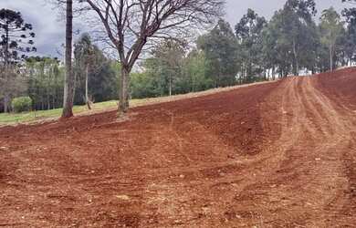 Imagem 4: Chácara em Santa Tereza do Oeste
