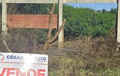 Imagem: Terreno BR 277 frente Coca Cola