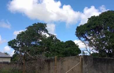 Imagem 8: Vendo Terreno em Araruama