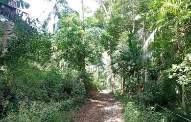 Imagem 14: Terreno com luz e Internet e água a 300 mts da represa
