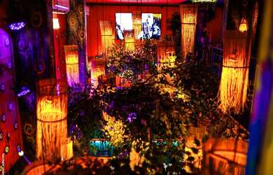 Imagem 16: Pub e Bar em Balneário Camboriú