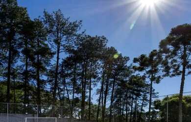 Imagem: Apartamento em José Manoel de Oliveira - Capela de São Pedro