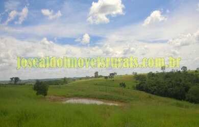 Imagem 13: Fazenda 450,0 hectares em pecuária, São Gonçalo do Abaeté MG