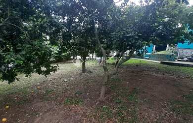 Imagem 13: GUAíBA - Casa Padrão - Ermo