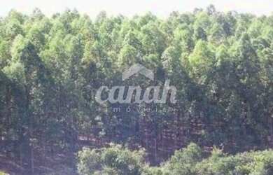 Imagem 7: São Gonçalo do Abaeté - Fazenda - São Gonçalo do Abaté