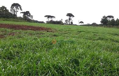 Imagem 13: Fazenda à venda, 120 alqueires por R$ 4.200.000 - Guará - Guarapuava/PR