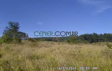 Imagem 12: EXTRAORDIONÁRIO TERRENO DE 35,6 HA PARA LAVOURA EM CARANDAI/MG