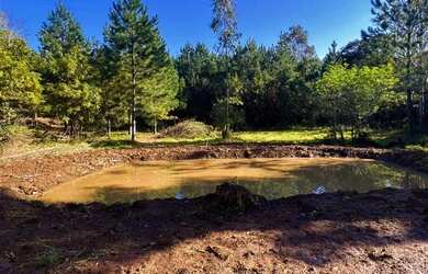 Imagem 14: Sítio Com Açude Em Condomínio Fechado. ROB 533