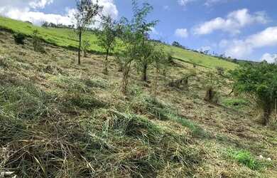 Imagem 9: LOTE COM VISTA PARA O LAGO
