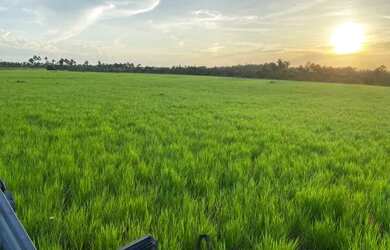 Imagem: A fazenda e está localizado em Paraviana, Boa Vista à venda