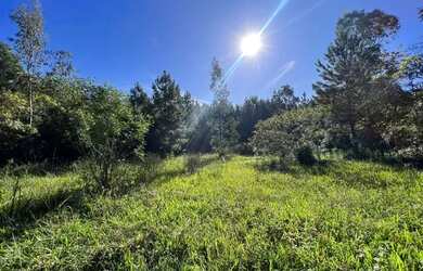 Imagem: A fazenda possui 100m² de Área e está localizado em Fazenda