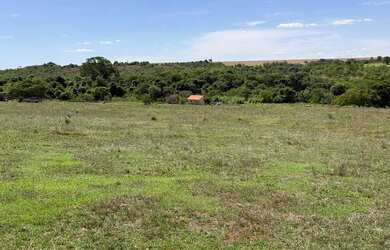 Imagem 6: Fazenda com cana próximo Uberlândia