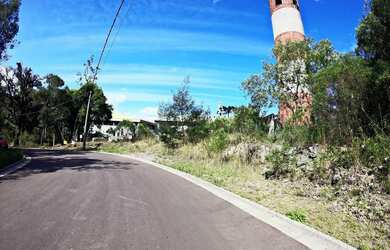 Imagem 4: Terreno - Bairro Floresta