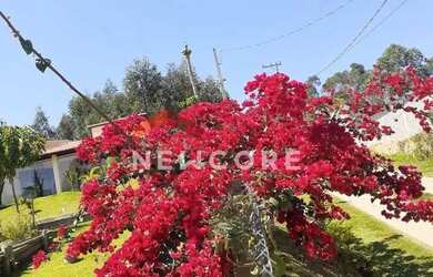 Imagem 3: Chácara em Estrada Airton Sena s/n - Centro - Mairinque/SP