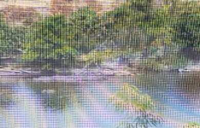 Imagem 6: VENDO FAZENDA 2988 hec ESCRITURADA REGIÃO DE AMAJARI RORAIMA 4250