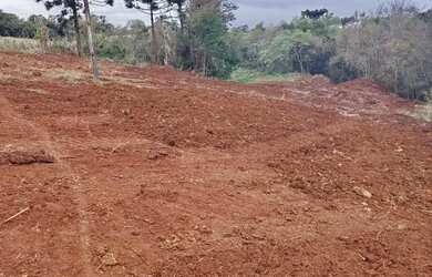 Imagem 7: Chácara em Santa Tereza do Oeste