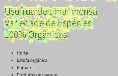 Imagem 12: Terreno em Condomínio na Vl Olinda - Nova Petrópolis