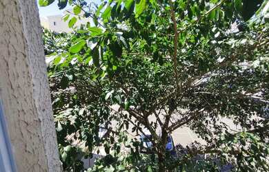 Imagem 6: Apartamento andar alto, silencioso e arejado no Park Dois Córregos ideal...