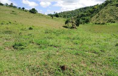 Imagem 11: Vendo excelente fazendinha em Nazaré das farinha