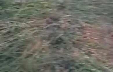 Imagem: O terreno possui 200m² de Área e está localizado em Eparque