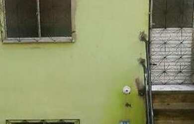 Imagem: A casa possui 2 Dormitórios, 1 Banheiro, 20m² de Área e