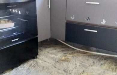 Imagem 2: LINDO APARTAMENTO SENDO 3 DORMITORIOS , SENDO SUITE