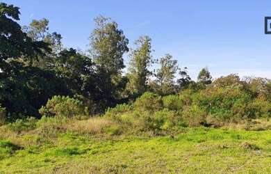 Imagem: O terreno possui 4.685m² de Área e está localizado em Centro